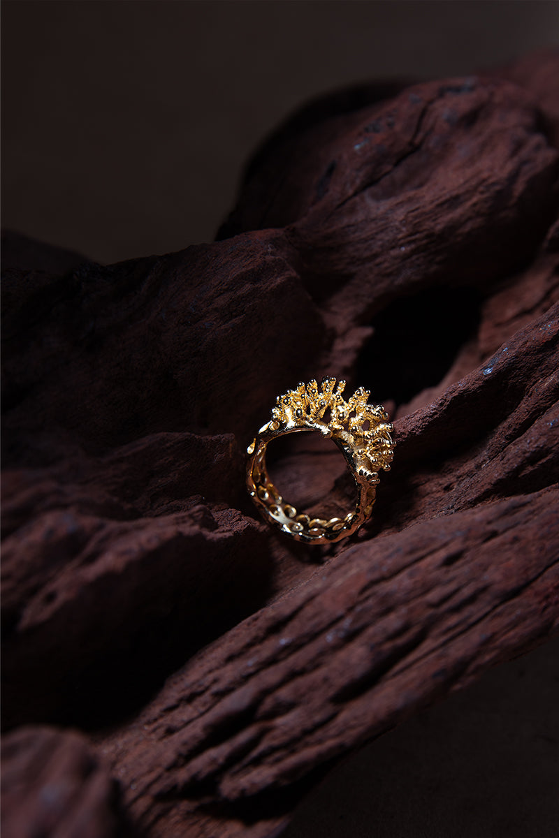 ARTEFACT NO 01 RING