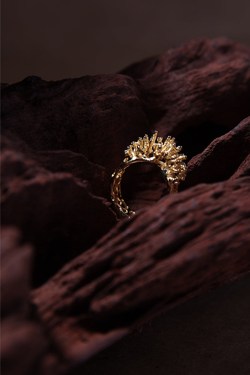 ARTEFACT NO 01 RING