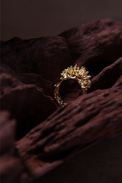 ARTEFACT NO 01 RING
