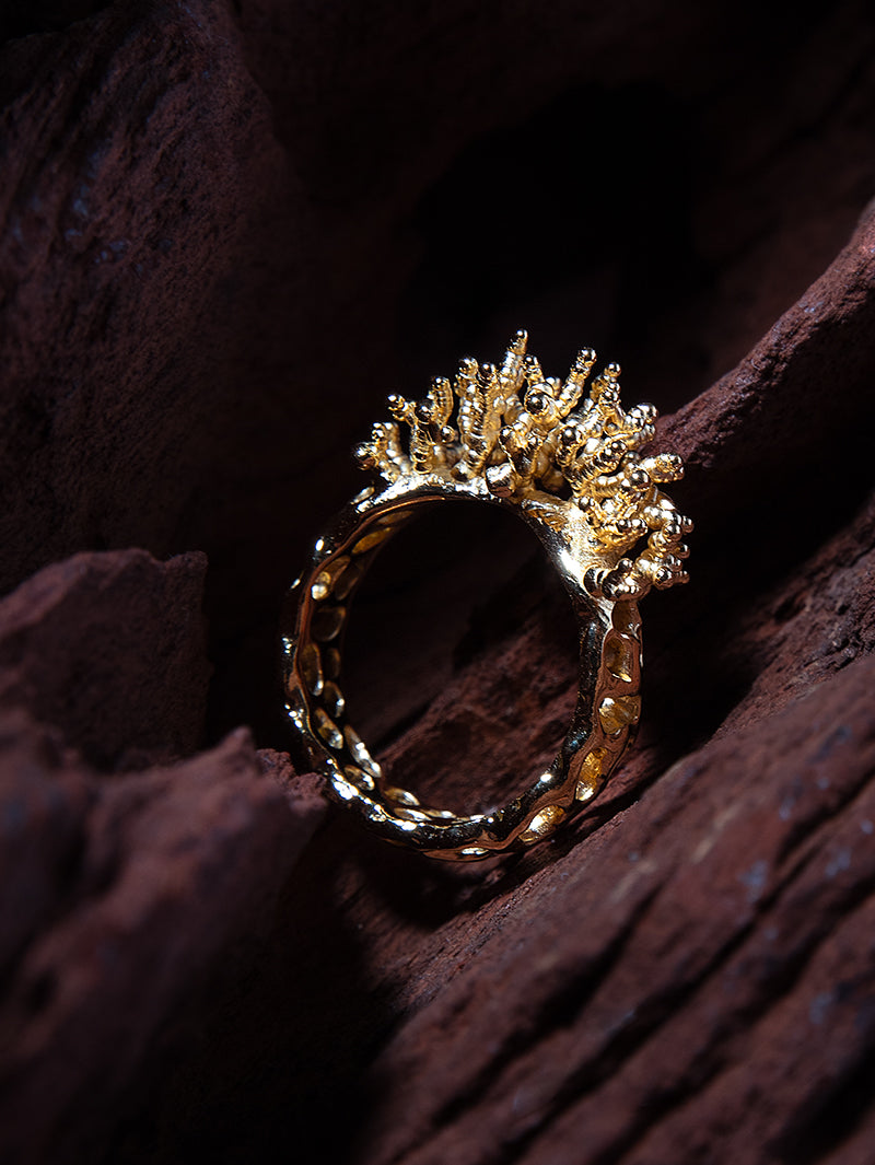 ARTEFACT NO 01 RING