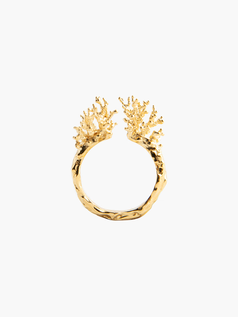 ARTEFACT NO 02 RING
