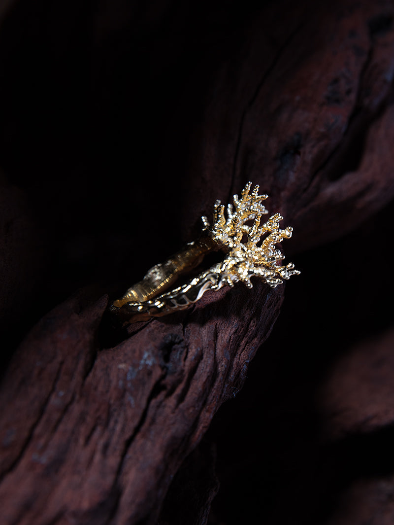 ARTEFACT NO 02 RING