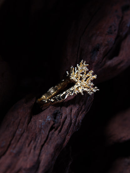 ARTEFACT NO 02 RING