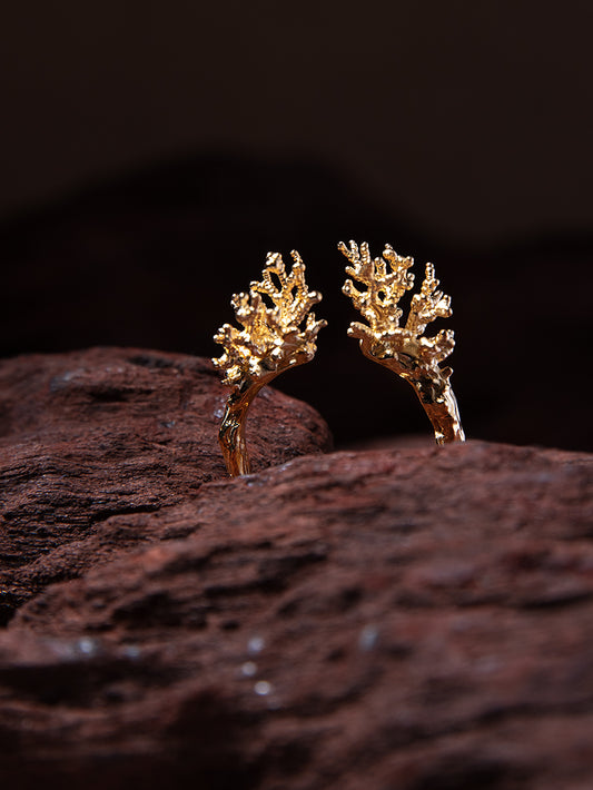 ARTEFACT NO 02 RING